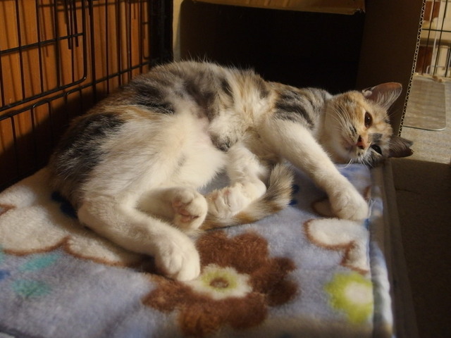 20171112mikeno01.jpg
