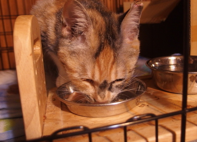 20171112mikeno02.jpg