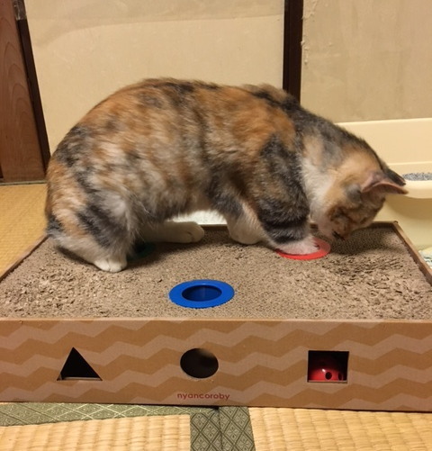 20171119mikeno02.jpg