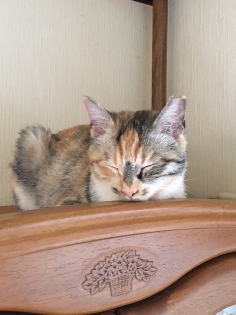 20171123mikeno02.jpg