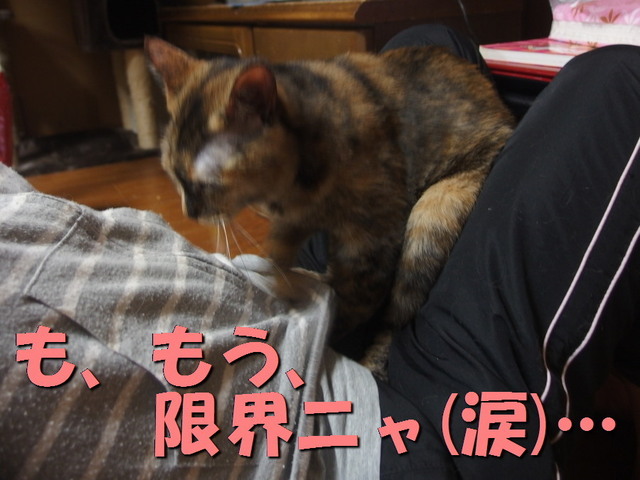 20180108tanmae03.jpg