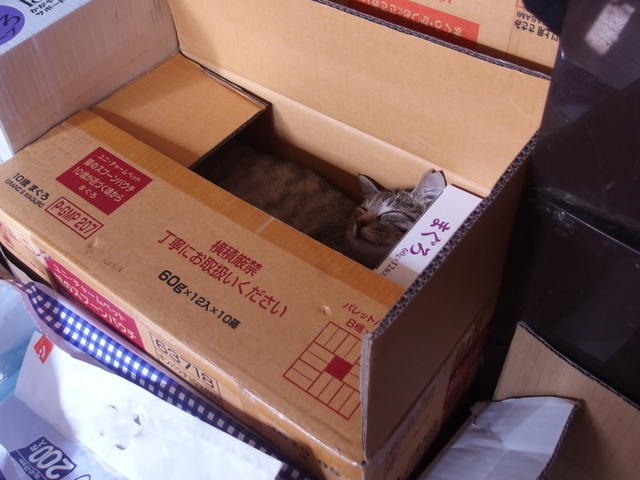20180120niini05.jpg