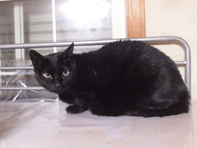 20180127kuro01.jpg