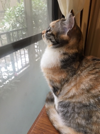 20180128haru01.jpg