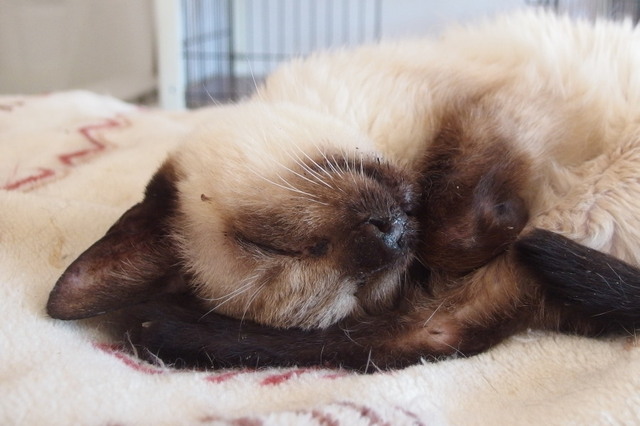 20180211milk02.jpg
