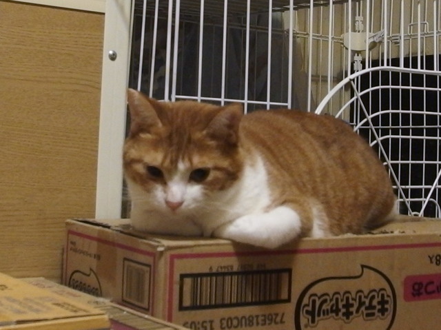 20180222mai02.jpg