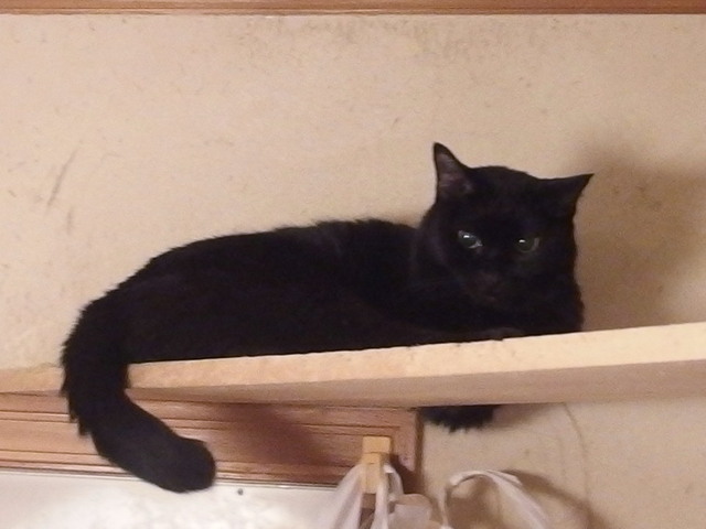 20180222sachi02.jpg