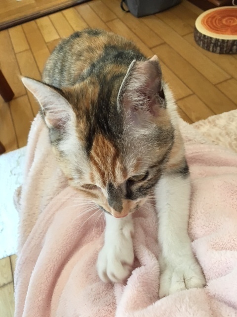 20180331_haru03.JPG