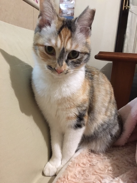 20180331_haru04.jpg