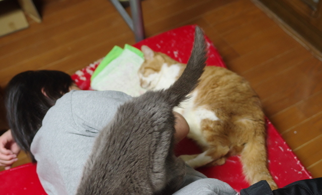 20180411rin02.jpg