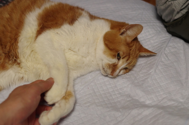 20180411rin03.jpg