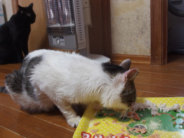 20180422mizu01.jpg