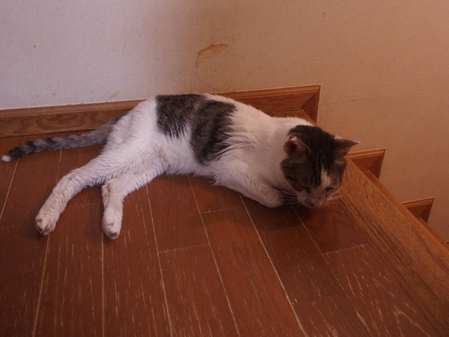 20180422mizu02.jpg