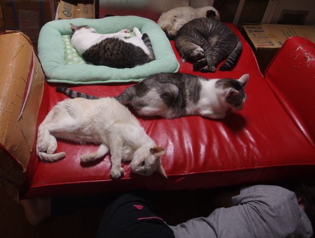 20180528yuki03.jpg
