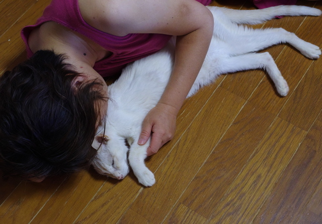 20180610yuki.jpg