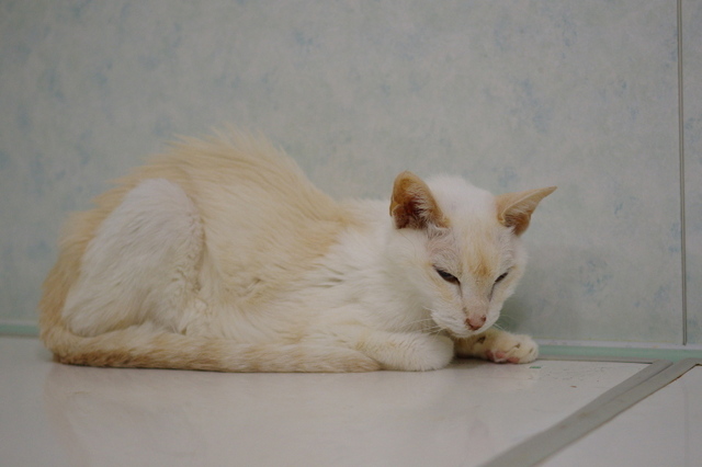 20180611yuki01.jpg