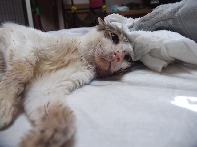 20180615mizu05.jpg
