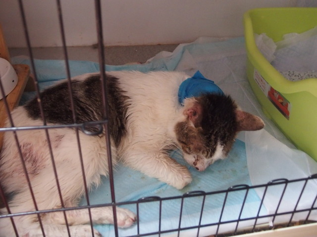 20180625mizu02.jpg