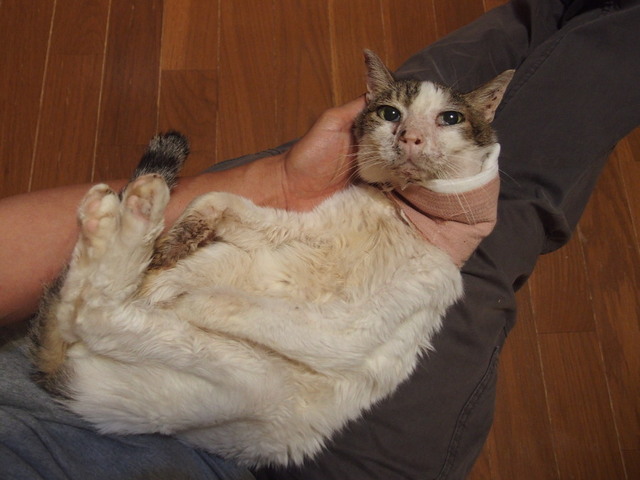 20180703mizu01.jpg