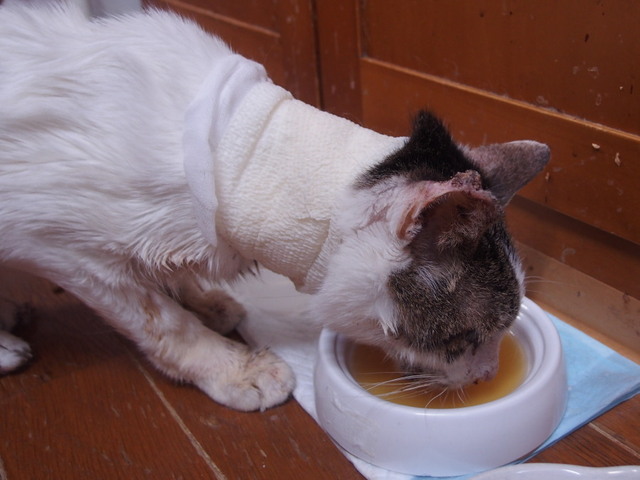 20180716mizu01.jpg