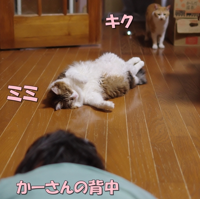 20180729eri01.jpg
