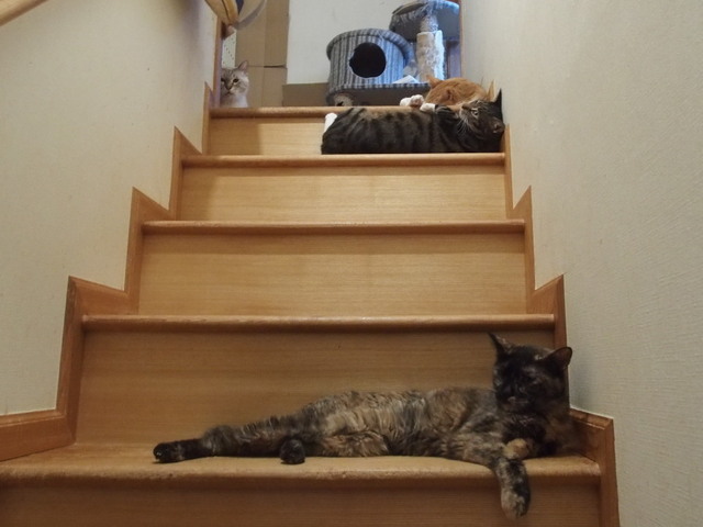 20180827home01.jpg