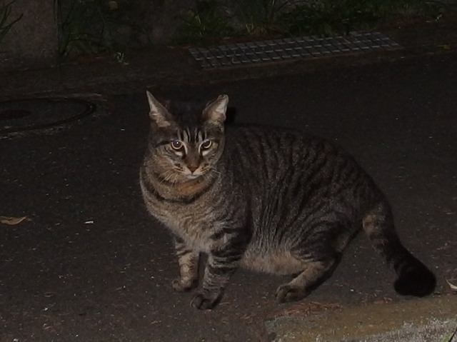 20180909home02.jpg