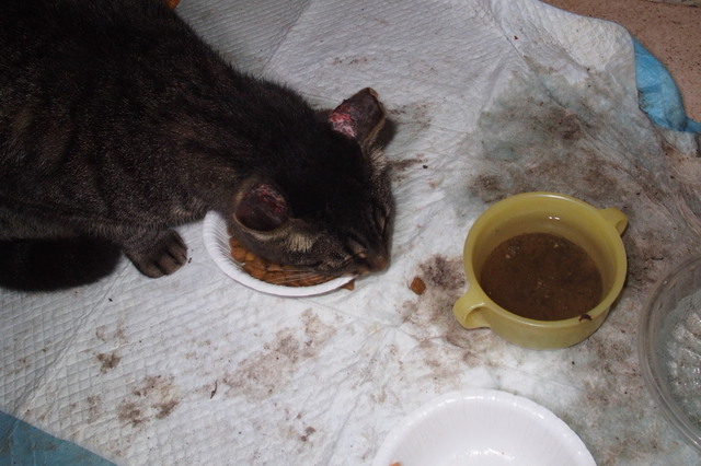 20180913home01.jpg
