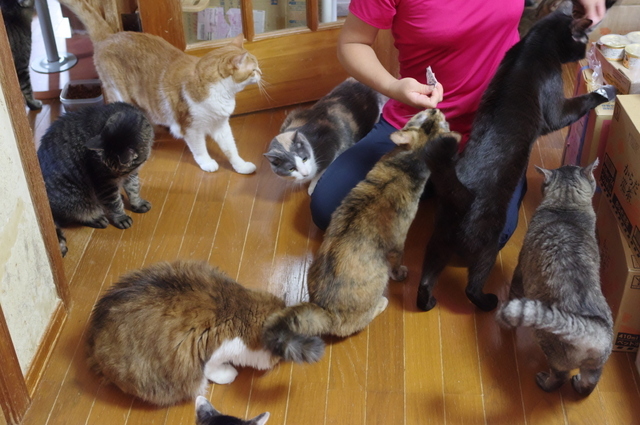 20180924home03.jpg