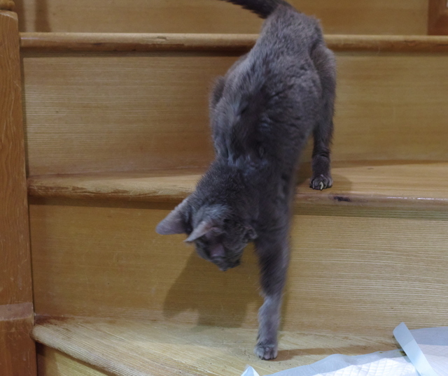 20181225ichi03.jpg