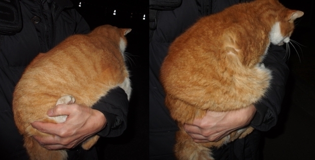 20190202park-taro-saburo.jpg