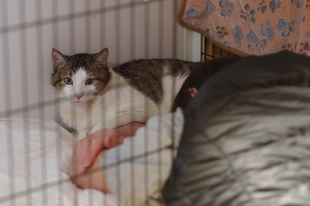 20190315katsuo01.jpg