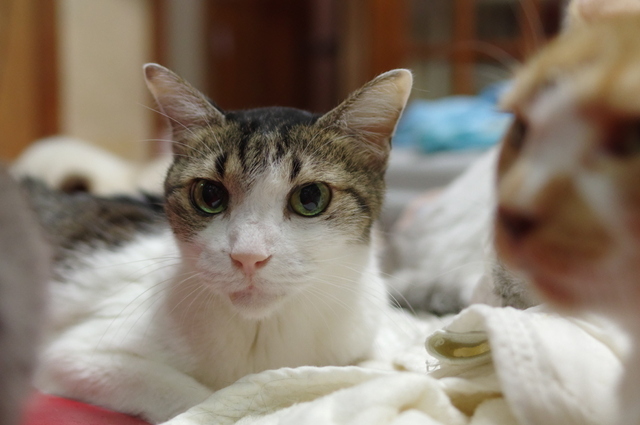 20190324ryuu01.jpg