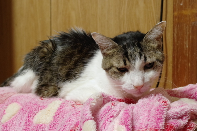 20190326ryuu01.jpg