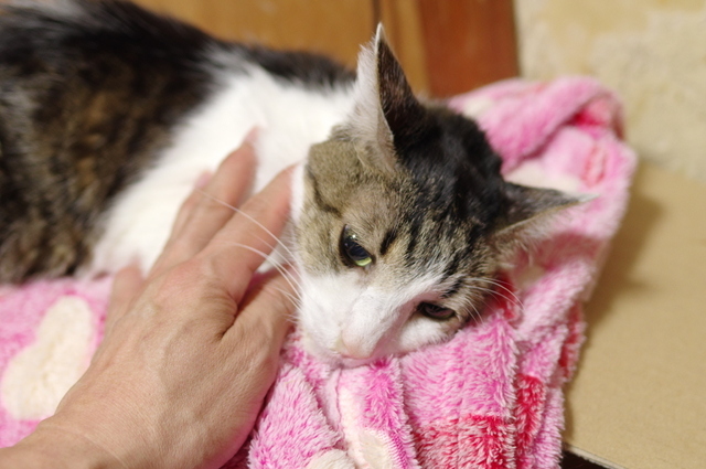 20190326ryuu02.jpg