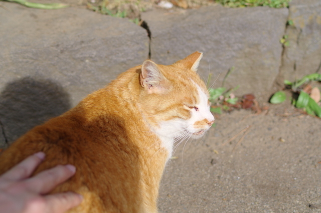 20190429park05.jpg