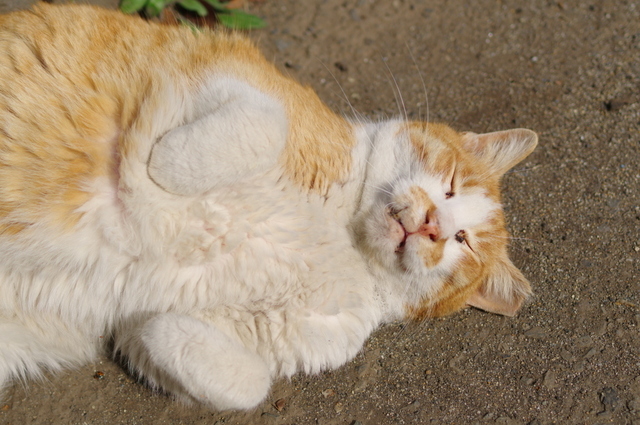 20190429park06.jpg