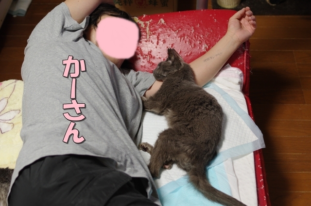 20190506ichi03.jpg