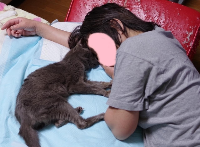 20190506ichi05.jpg