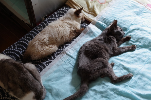 20190506ichi＆milk01.jpg