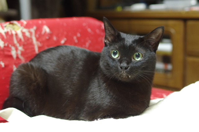 20190517kuu01.jpg