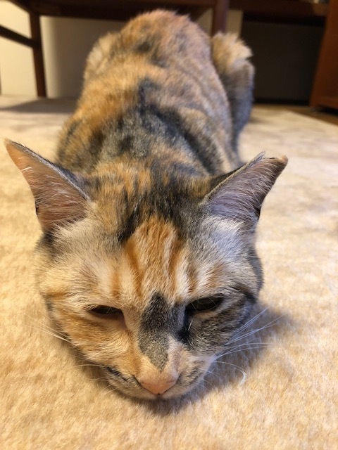 20190609haru01.jpg