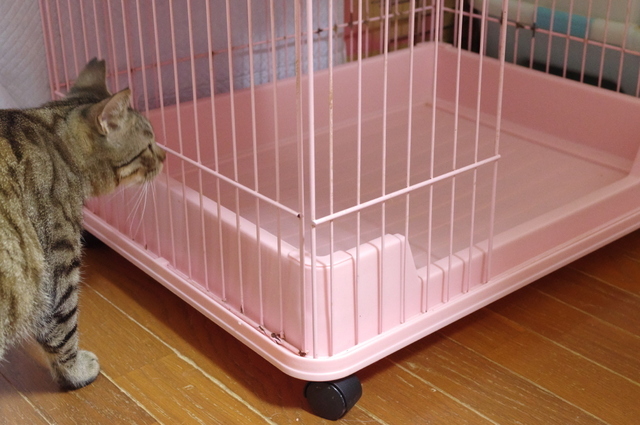 20190707home01.jpg
