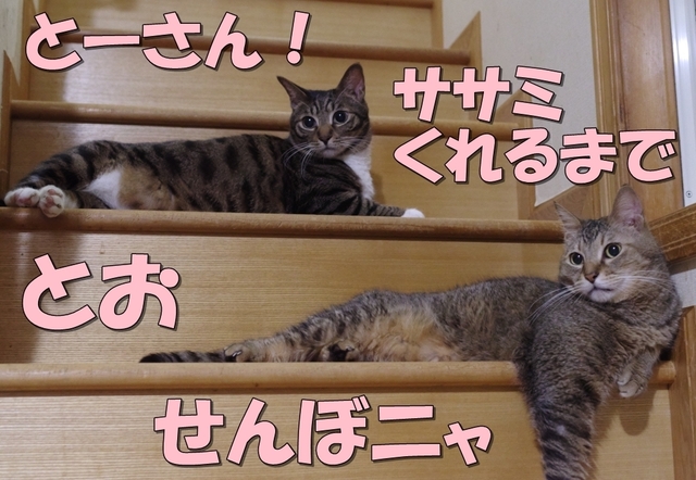 20190711fuku_kokoro02.jpg