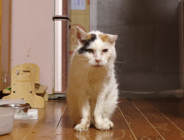 20190728oomike03.jpg