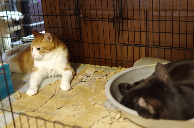 20190729mai02.jpg