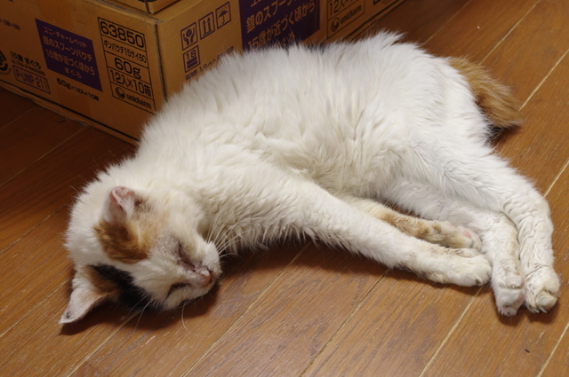 20190825oomike02.jpg