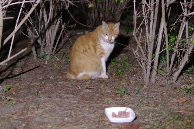 20190928jiro01.jpg