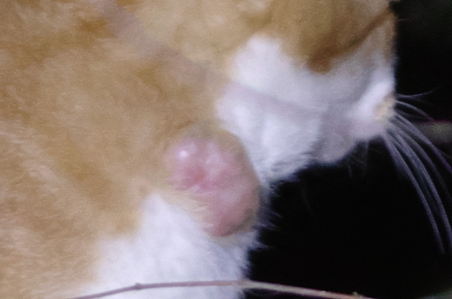 20190928jiro03.jpg