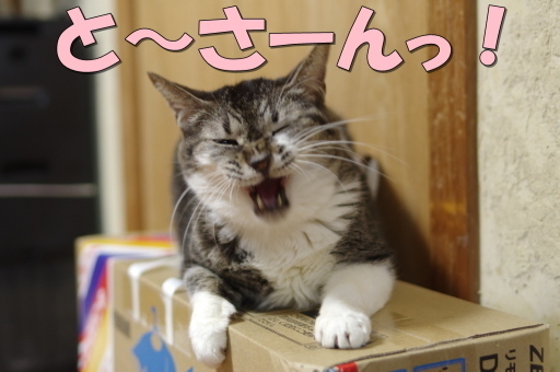20190929muh05.jpg